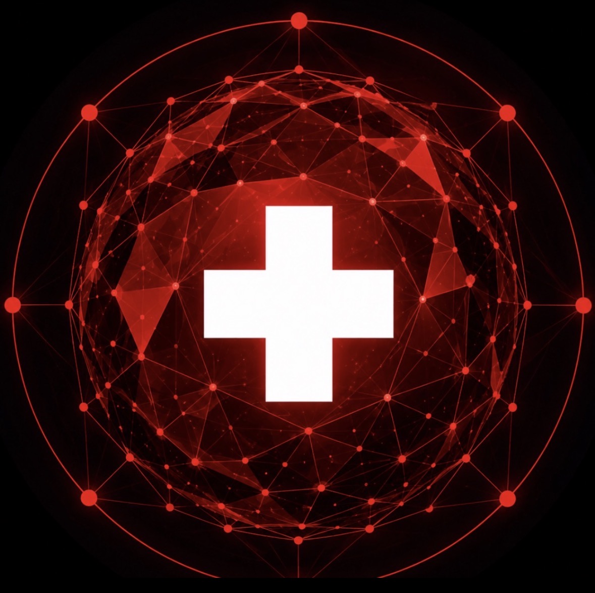 SwissHoldNode logo
